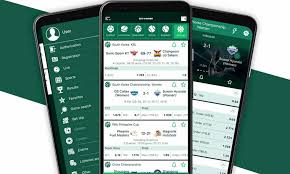 BetWinner Tunisia Your Ultimate Betting Experience